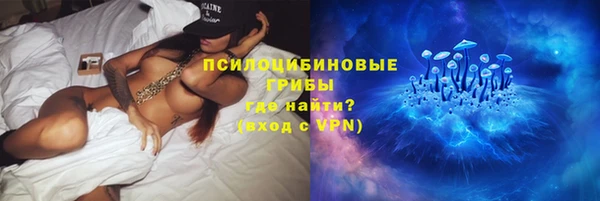 бошки Алзамай