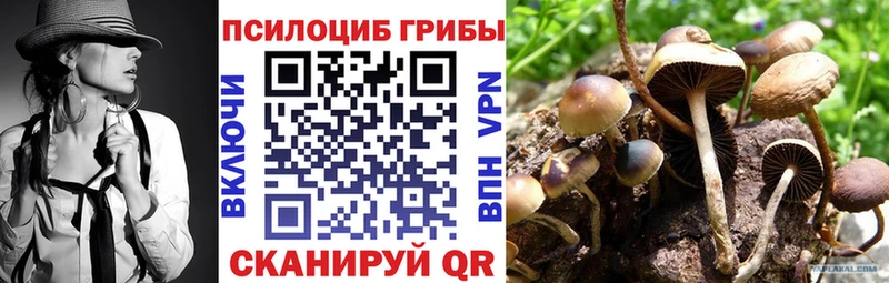 Галлюциногенные грибы мухоморы наркотики Карабулак