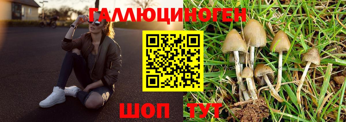 Карабулак  Галлюциногенные грибы Magic Shrooms  закладки  Вход с VPN 