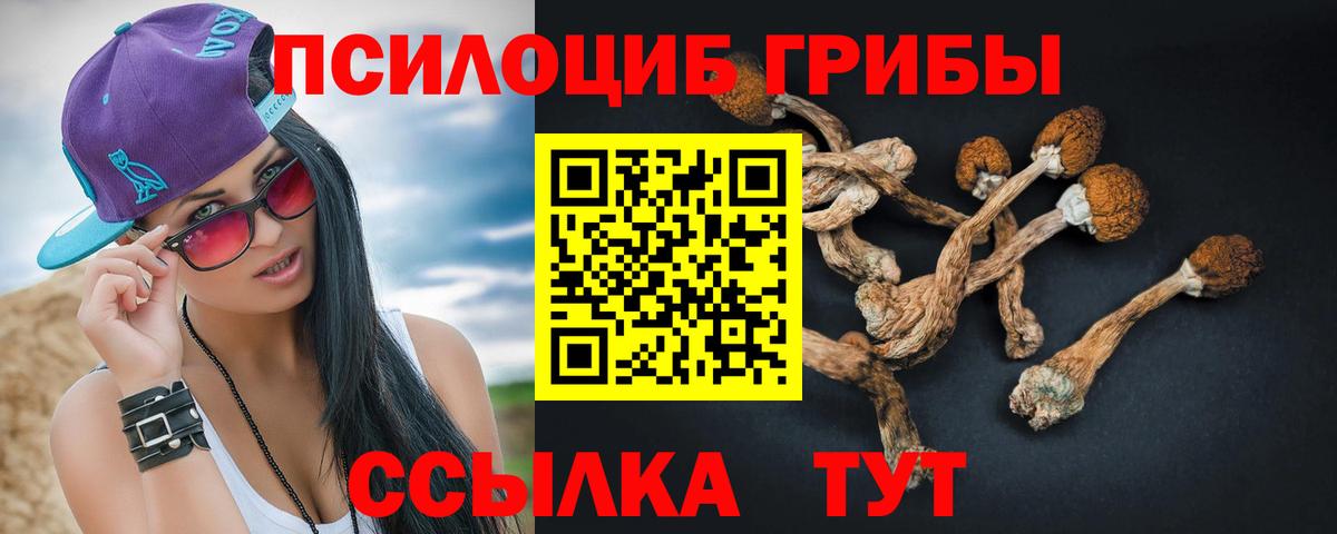 Галлюциногенные грибы мухоморы Карабулак
